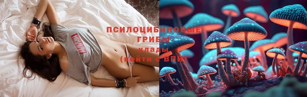 стафф Беломорск