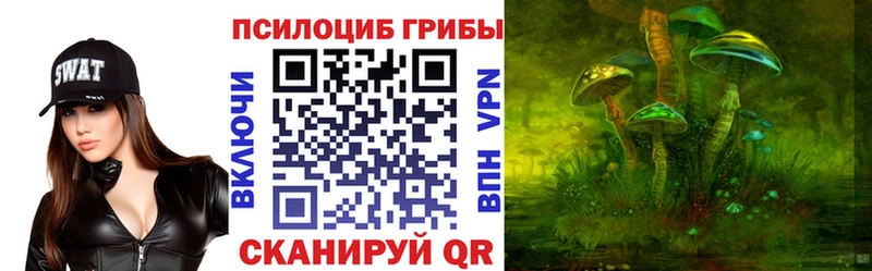 Галлюциногенные грибы Cubensis  Чегем 